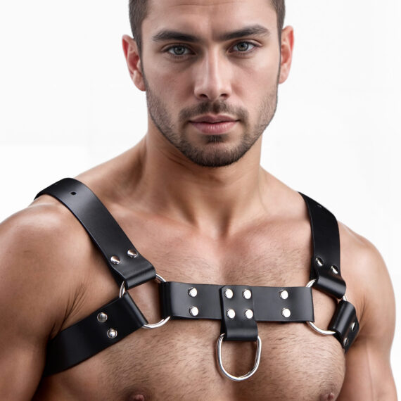 English Bull Dog Harness